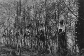 Acceso a k_bisc.jpg (253KB)