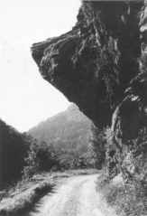 Acceso a sbide.jpg (107KB)