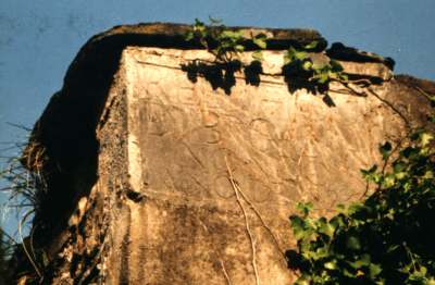 ameraun1.jpg (19411 bytes)