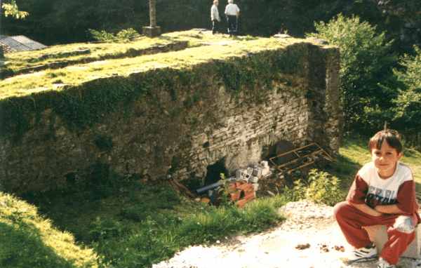 ameraun3.jpg (31185 bytes)