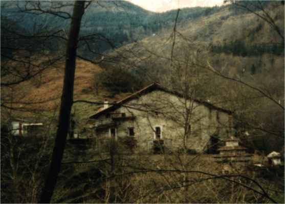 berinas.jpg (22205 bytes)