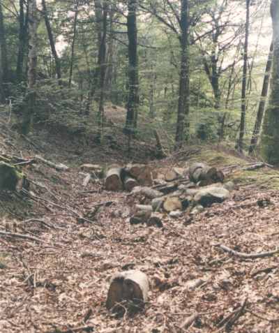 Vista actual del surco del canal. Foto: Xabier Cabezón
