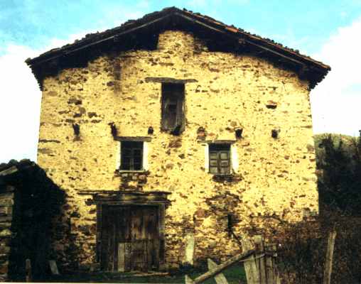 mustarberri.jpg (28795 bytes)