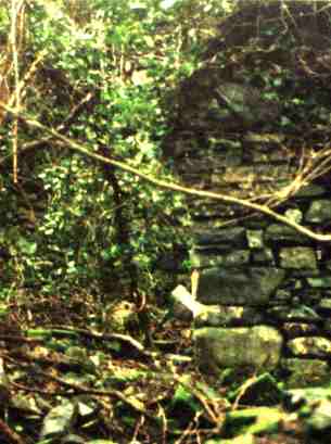 Puerta interior con arco