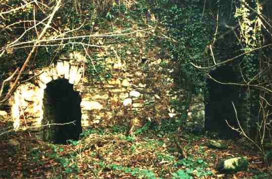 plazaola1.jpg (27977 bytes)