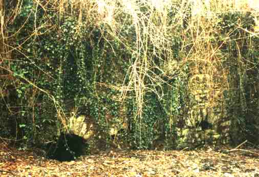 plazaola2.jpg (27527 bytes)