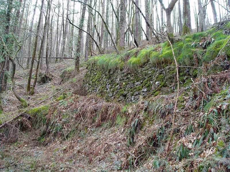 Plano inclinado del FC de Lorditz.