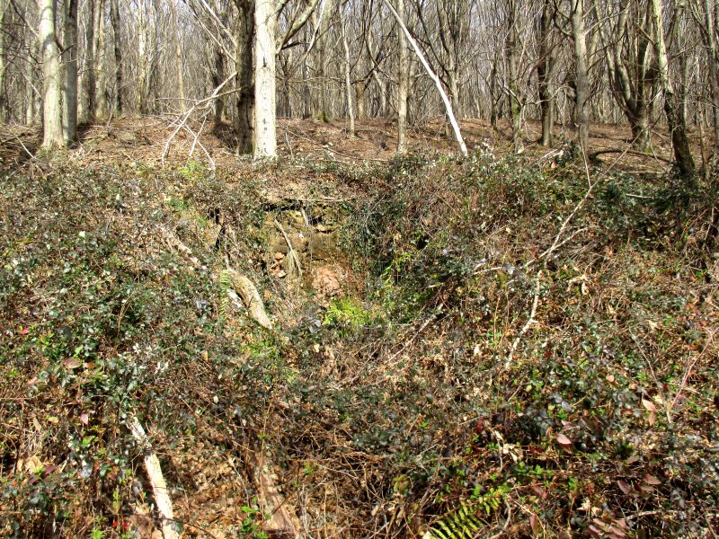 Vista del horno calero de Azaritokieta