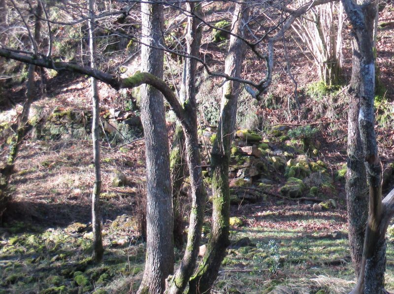 paredes junto a la galería nº 1