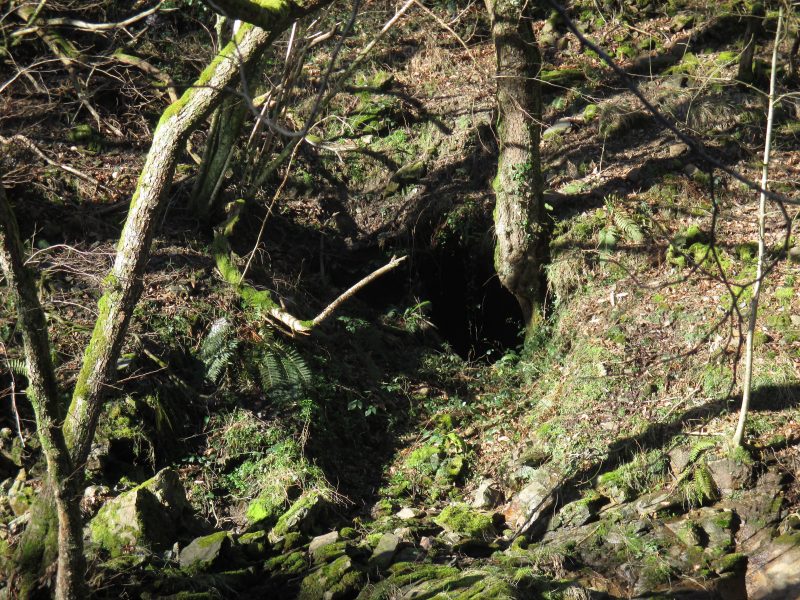 Galería nº 2 de la mina Plazaola&nbsp;2