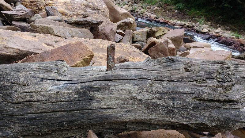 Tronco de la presa de madera, con escotadura y un clavo.