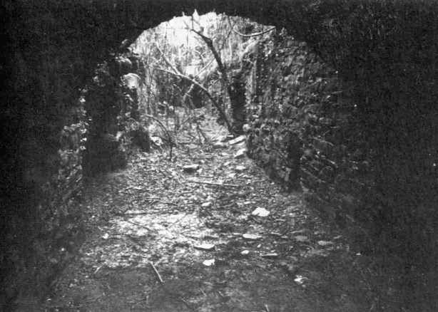 Desde el interior de las anteparas